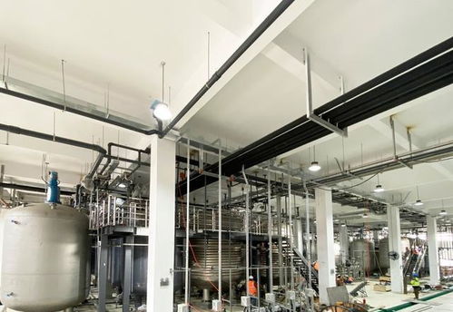 免疫细胞缺陷或可加速3倍衰老 西班牙科学家揭示衰老新机制